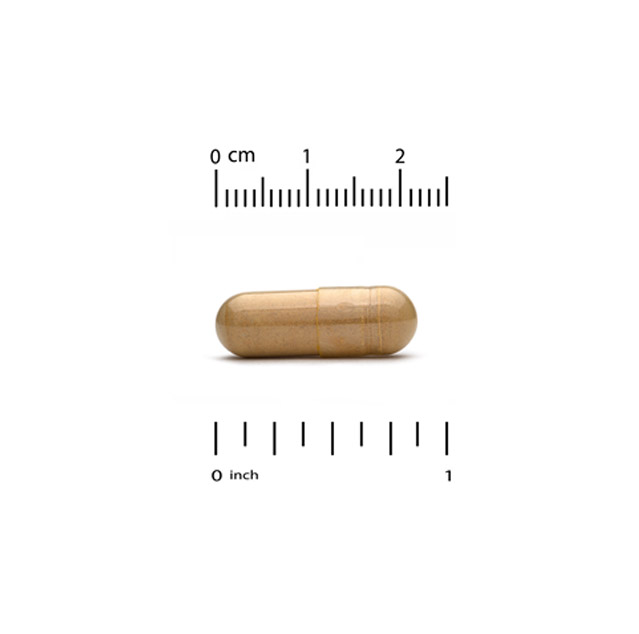 5454990OO7454.jpg