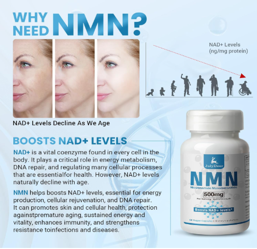 NMN 3