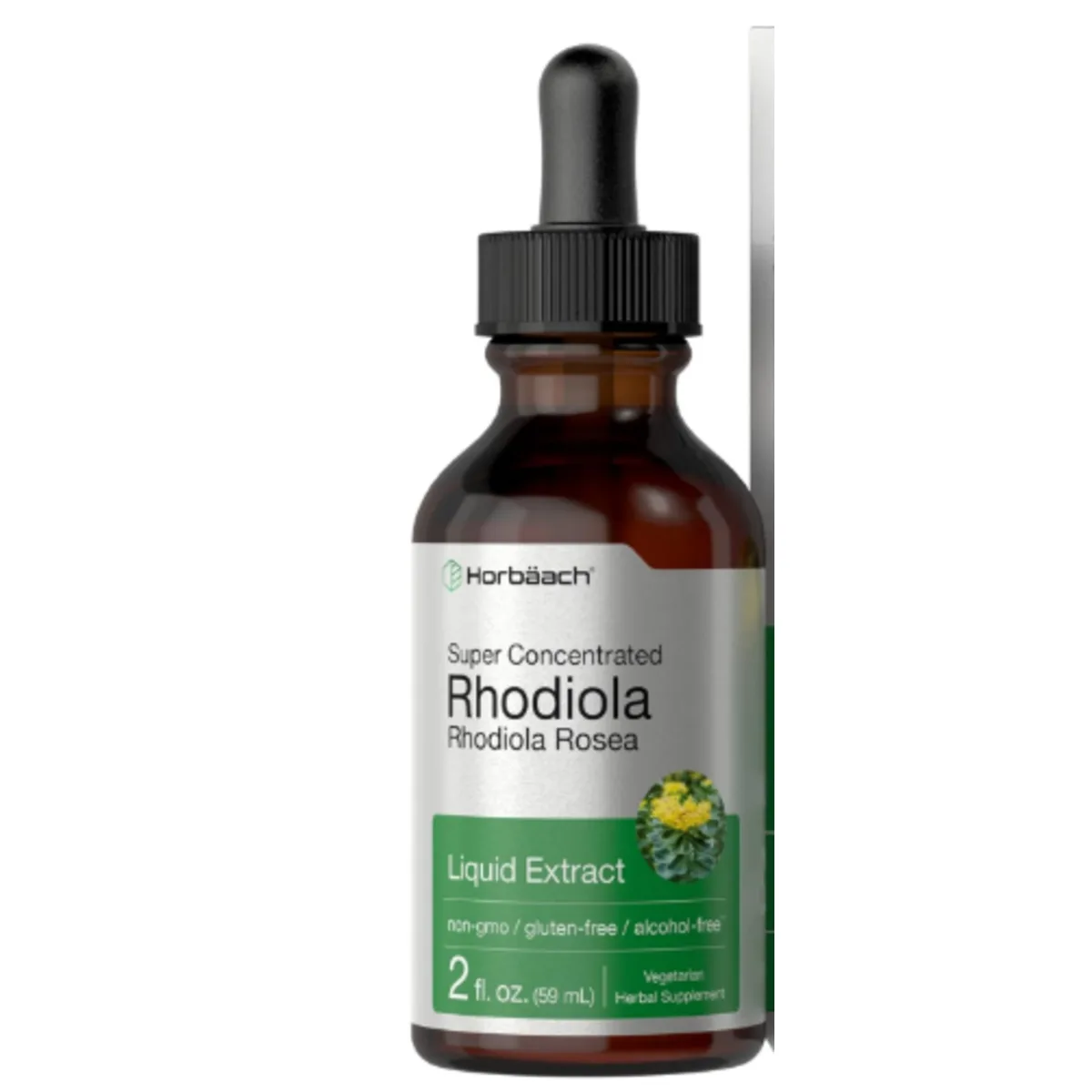 Horbaach – Rhodiola Rosea Liquid Concentrated Extract (2 Fl Oz / 59ml)